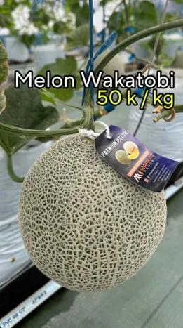 Publication